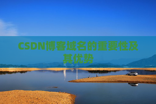 CSDN博客域名的重要性及其优势
